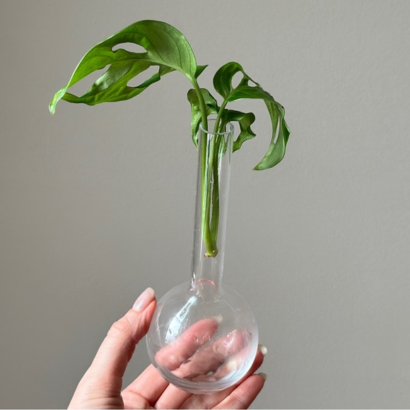 Vintage Clear Glass Propagation Vase Plant Bud Vase - Picture 6 of 9